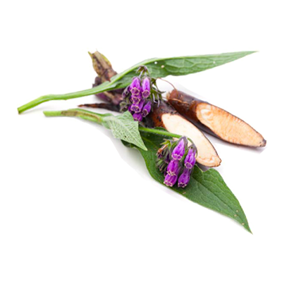 OLIVE SPA tělové máslo se spirulinou 8